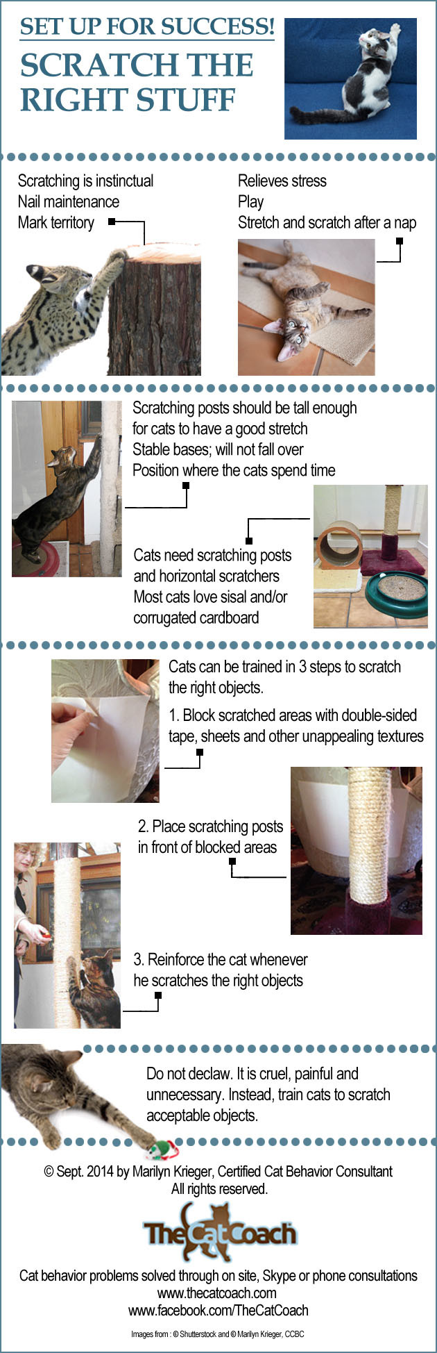 Cats can be trained to scratch the right furniture by Marilyn Krieger, CCBC