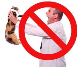 Don’t punish cats. Instead, identify and address the causes of the behavior.